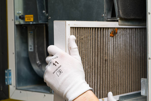 Best Home Air Vent Cleaning  in Yutan, NE