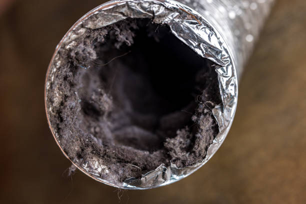 Best HVAC Air Duct Cleaning  in Yutan, NE